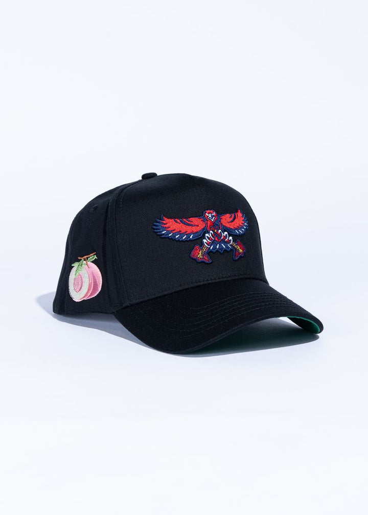 Reference Bravehawks - Black