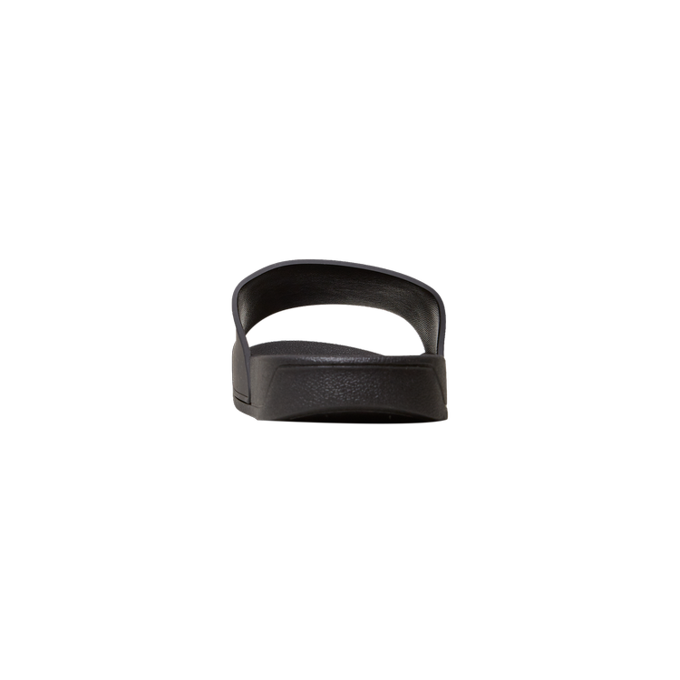 Blue Sky Inn Logo Slides - Black & Blue