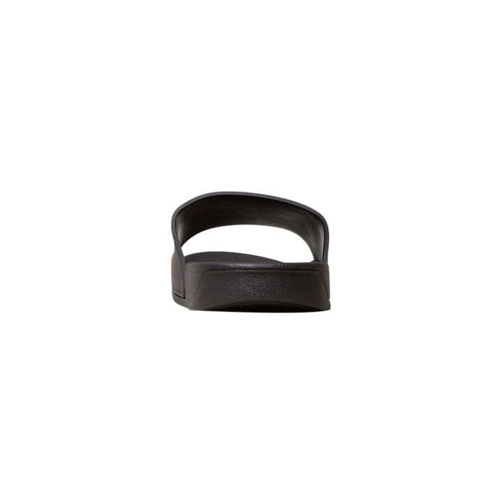 Blue Sky Inn Logo Slides - Black & Blue