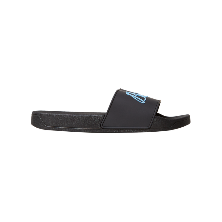 Blue Sky Inn Logo Slides - Black & Blue
