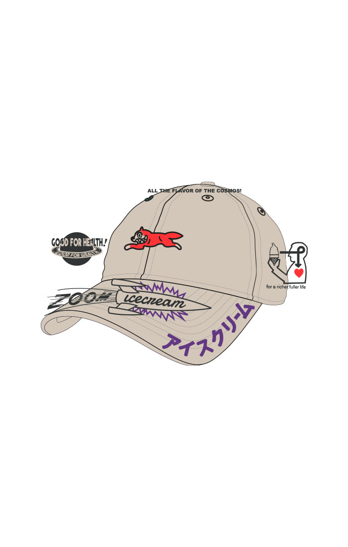 ICECREAM good for health dad hat - fog